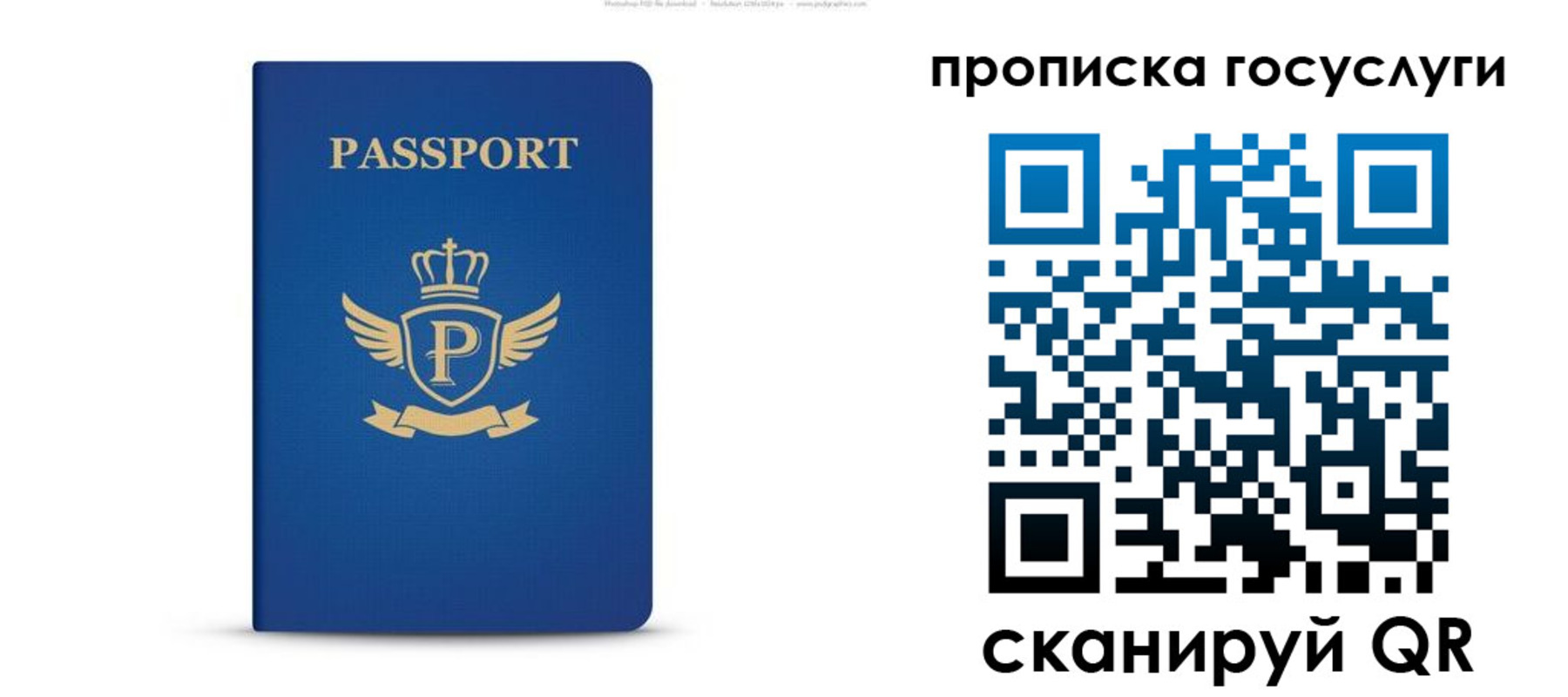 прописка для школы в Всеволожске